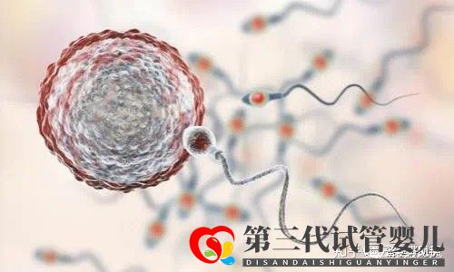 第三代试管婴儿生出来的孩子健康吗(图1) 第三代试管婴儿生出来的孩子健康吗(图1)