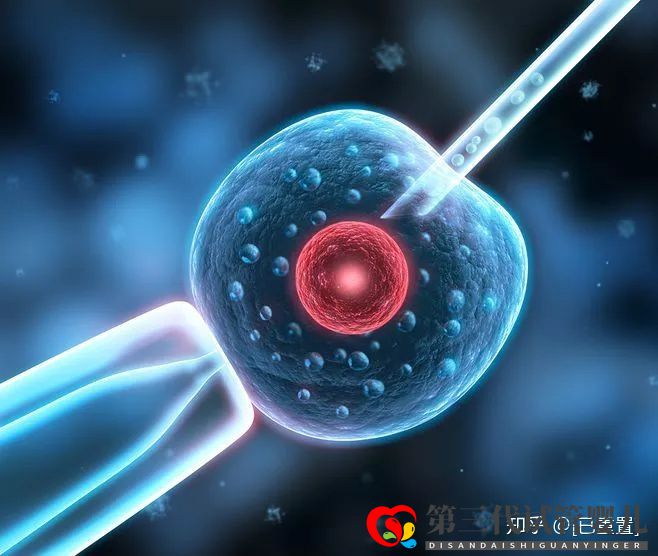 我不建议48岁的你去做试管,除非…(图5) 我不建议48岁的你去做试管,除非…(图5)