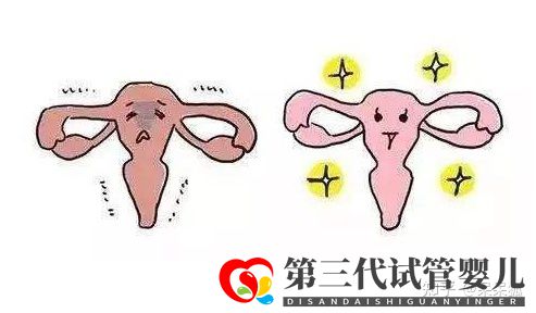 女性46岁高龄做试管婴儿成功率怎么样(图1) 女性46岁高龄做试管婴儿成功率怎么样(图1)