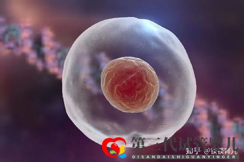 高龄女性试管多次失败,应该何去何从(图2) 高龄女性试管多次失败,应该何去何从(图2)