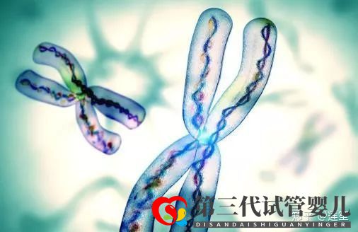 35岁以后怀孕的几率有多大怎样提高怀孕几率(图6) 35岁以后怀孕的几率有多大怎样提高怀孕几率(图6)