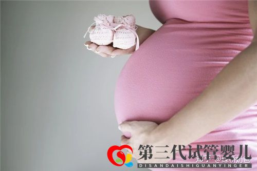 试管移植的成功率一般能有多少(图1) 试管移植的成功率一般能有多少(图1)