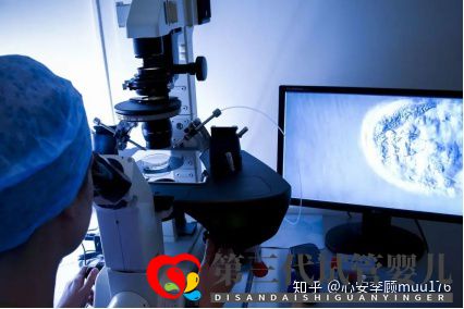 人工授精跟试管婴儿的区别(图2) 人工授精跟试管婴儿的区别(图2)