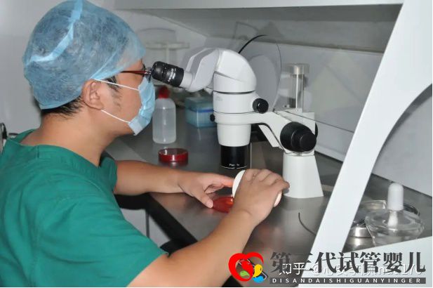 人工授精跟试管婴儿的区别(图4) 人工授精跟试管婴儿的区别(图4)