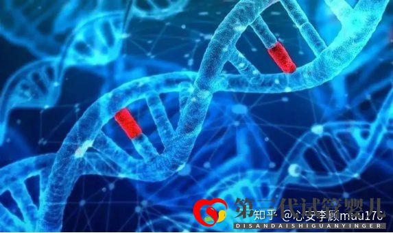 人工授精跟试管婴儿的区别(图7) 人工授精跟试管婴儿的区别(图7)