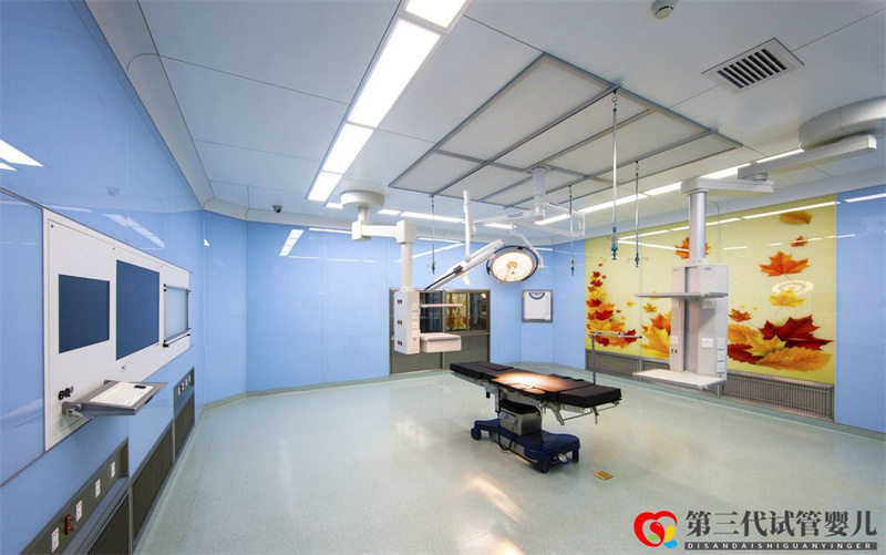 美国试管婴儿成功率解析(图1) 美国试管婴儿成功率解析(图1)