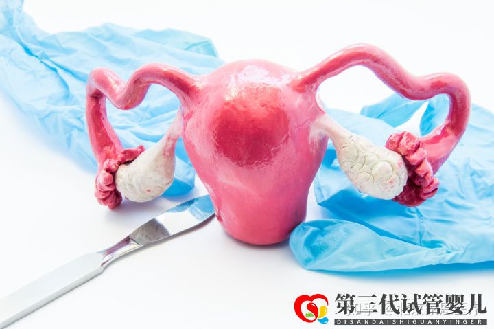 输卵管堵塞是先疏通还是直接试管(图1) 输卵管堵塞是先疏通还是直接试管(图1)