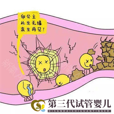 输卵管通而不畅是如何导致的?如何治疗?(图1) 输卵管通而不畅是如何导致的?如何治疗?(图1)