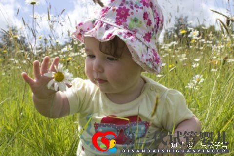 卵巢早衰的女性做供卵试管婴儿成功率高不高(图2) 卵巢早衰的女性做供卵试管婴儿成功率高不高(图2)