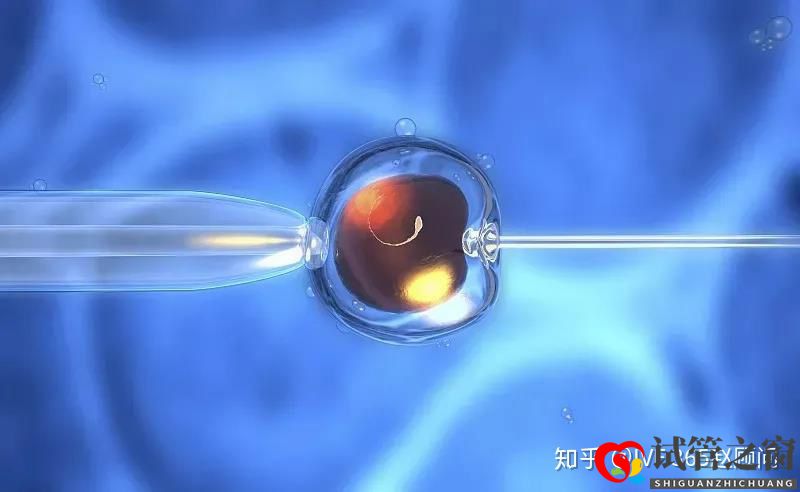 关于试管婴儿,你想知道的都在这里,不懂就得多看看(图5) 关于试管婴儿,你想知道的都在这里,不懂就得多看看(图5)