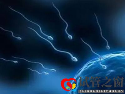 关于试管婴儿成功率你们所不知道的(图2) 关于试管婴儿成功率你们所不知道的(图2)