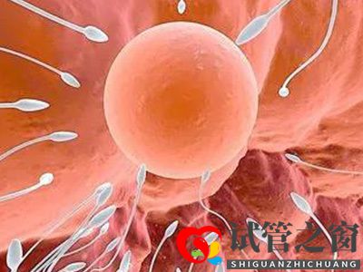 关于试管婴儿常见的6大疑问,你都知道答案吗(图2) 关于试管婴儿常见的6大疑问,你都知道答案吗(图2)