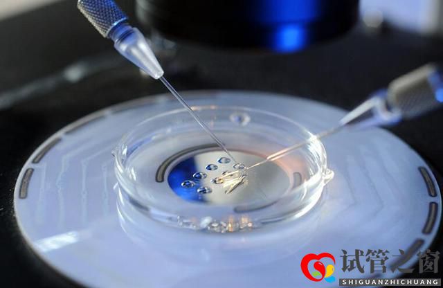 关于试管婴儿的几大误区,看看你中了几条(图2) 关于试管婴儿的几大误区,看看你中了几条(图2)