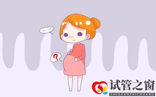做试管婴儿想要成功应该取多少个卵子比较好?(图1) 做试管婴儿想要成功应该取多少个卵子比较好?(图1)