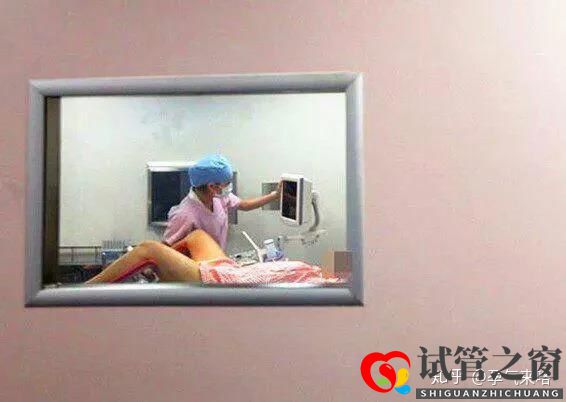 直击试管婴儿的过程(图3) 直击试管婴儿的过程(图3)