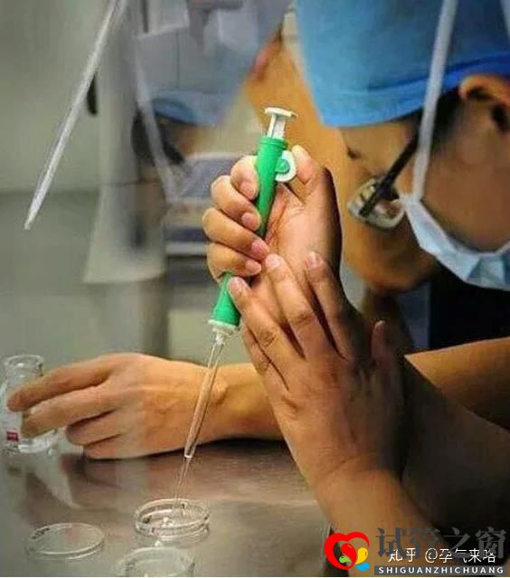 直击试管婴儿的过程(图7) 直击试管婴儿的过程(图7)