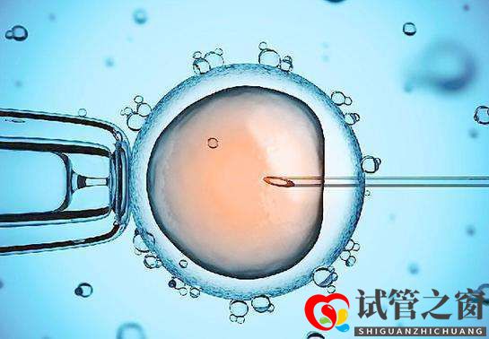 重庆做第三代试管婴儿要多少钱(图1)