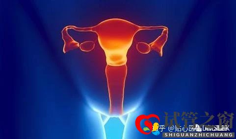 卵巢早衰做试管婴儿的成功率(图1) 卵巢早衰做试管婴儿的成功率(图1)