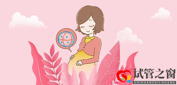 试管婴儿助孕的八大详情流程(图1) 试管婴儿助孕的八大详情流程(图1)