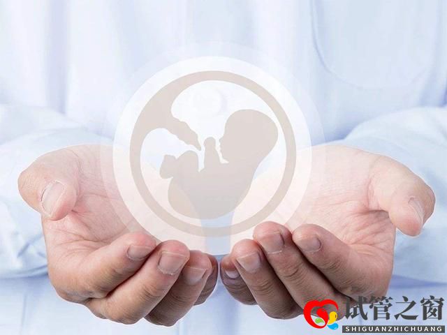 试管婴儿容易做吗?成功的概率高吗??有此打算的美女看过来(图1) 试管婴儿容易做吗?成功的概率高吗??有此打算的美女看过来(图1)