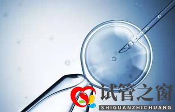 试管婴儿的成功率是多少?怎么样做可以提高成功率?(图1) 试管婴儿的成功率是多少?怎么样做可以提高成功率?(图1)