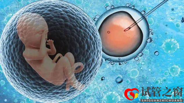 试管婴儿能否成功与什么有关?(图1) 试管婴儿能否成功与什么有关?(图1)