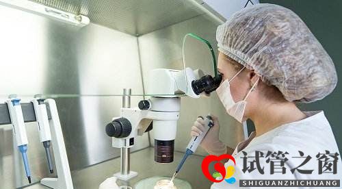 试管婴儿费用可以报销吗(图2) 试管婴儿费用可以报销吗(图2)