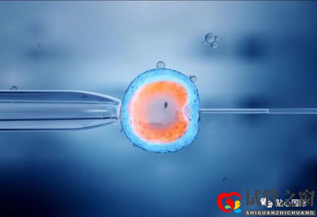 做试管婴儿,我的成功率是多少?(图1) 做试管婴儿,我的成功率是多少?(图1)