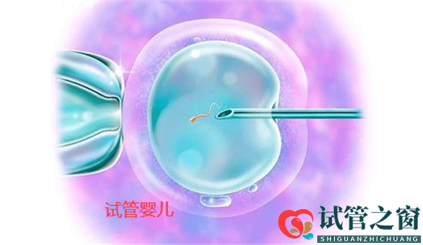 6次试管婴儿失败,想放弃,如果没有孩子会怎么样呢(图1) 6次试管婴儿失败,想放弃,如果没有孩子会怎么样呢(图1)