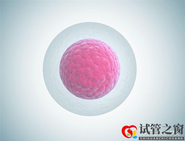 35岁女性做美国试管婴儿成功率评估的三个关键点(图3) 35岁女性做美国试管婴儿成功率评估的三个关键点(图3)