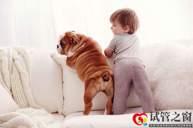 40岁做试管婴儿生三胎,需要做足哪些准备(图1) 40岁做试管婴儿生三胎,需要做足哪些准备(图1)