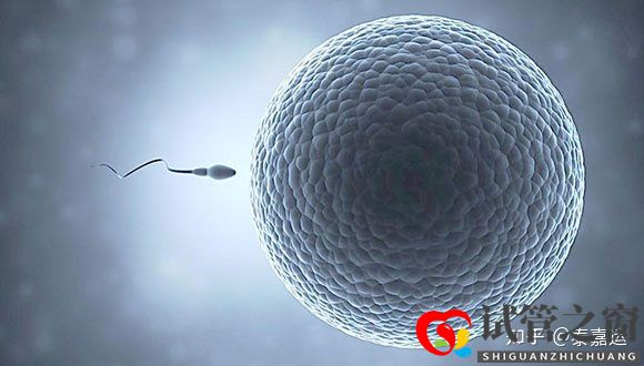 40岁做试管婴儿生三胎,需要做足哪些准备(图4) 40岁做试管婴儿生三胎,需要做足哪些准备(图4)