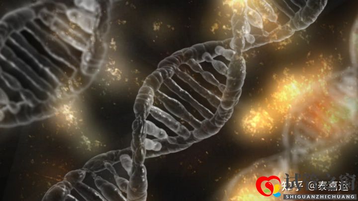 40岁试管婴儿成功需要具备哪些条件(图3) 40岁试管婴儿成功需要具备哪些条件(图3)