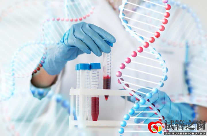 试管之窗:2022年,医疗级基因检测结果会更准确吗(图1) 试管之窗:2022年,医疗级基因检测结果会更准确吗(图1)