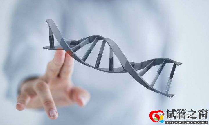 试管之窗:2022年,医疗级基因检测结果会更准确吗(图3) 试管之窗:2022年,医疗级基因检测结果会更准确吗(图3)