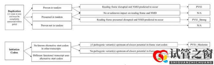 试管之窗:2022年,医疗级基因检测结果会更准确吗(图15) 试管之窗:2022年,医疗级基因检测结果会更准确吗(图15)