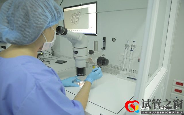 试管之窗:2022三代试管费用明细有哪些如何省钱(图2) 试管之窗:2022三代试管费用明细有哪些如何省钱(图2)