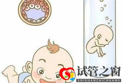 多囊想怀孕一定要做三代试管婴儿吗(图1) 多囊想怀孕一定要做三代试管婴儿吗(图1)