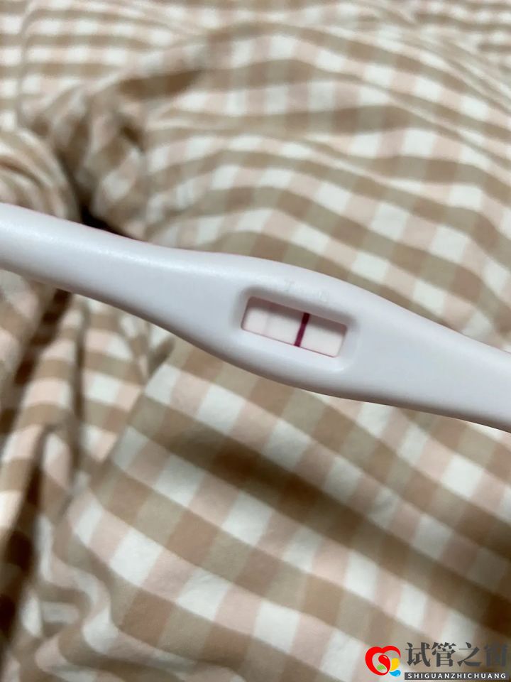 历时大半年成功怀孕,分享一下我从做(图2) 历时大半年成功怀孕,分享一下我从做(图2)