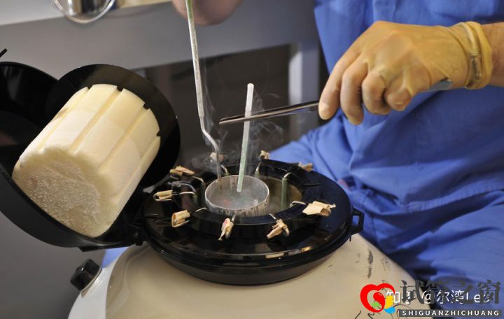 试管婴儿最详细分步指南(图7) 试管婴儿最详细分步指南(图7)