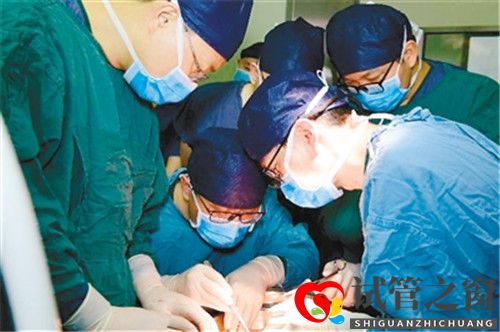 全国首例试管婴儿亲体肝移植宝宝康复出院(图1) 全国首例试管婴儿亲体肝移植宝宝康复出院(图1)