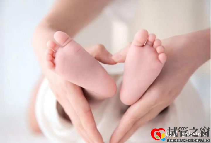 试管婴儿可以选择性别吗(图2) 试管婴儿可以选择性别吗(图2)