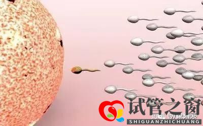 试管多次失败 这些原因你找到了吗(图4) 试管多次失败 这些原因你找到了吗(图4)