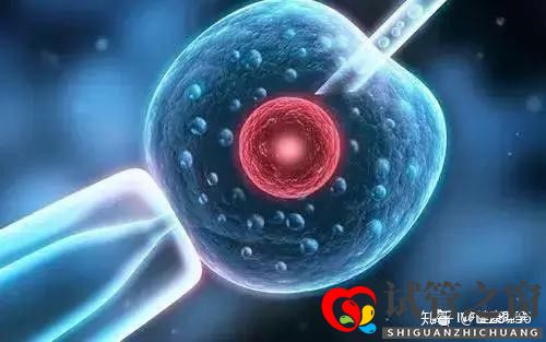 试管多次失败 这些原因你找到了吗(图7) 试管多次失败 这些原因你找到了吗(图7)