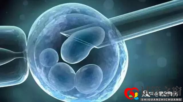 试管多次失败 这些原因你找到了吗(图8) 试管多次失败 这些原因你找到了吗(图8)