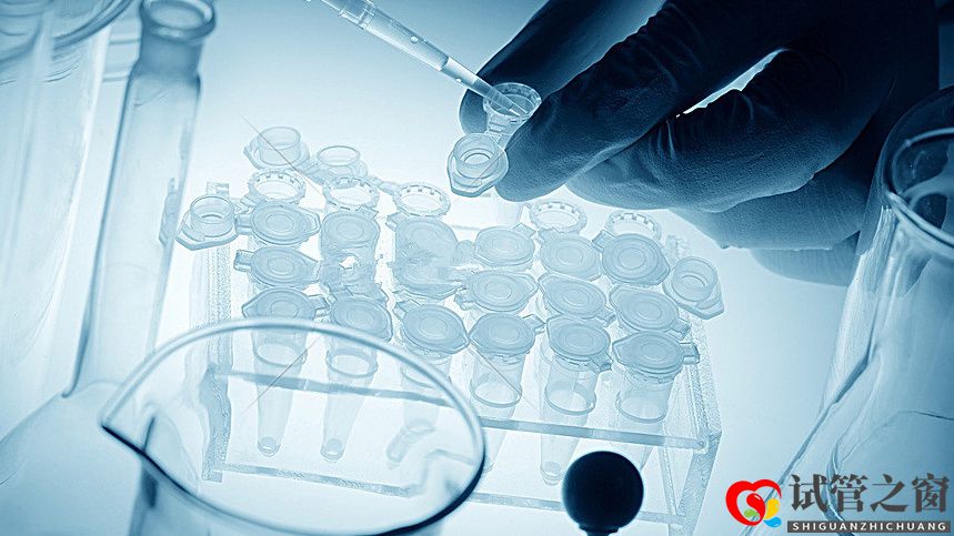 试管婴儿移植后打黄体酮针(子宫内膜厚度多少正常)(图1) 试管婴儿移植后打黄体酮针(子宫内膜厚度多少正常)(图1)