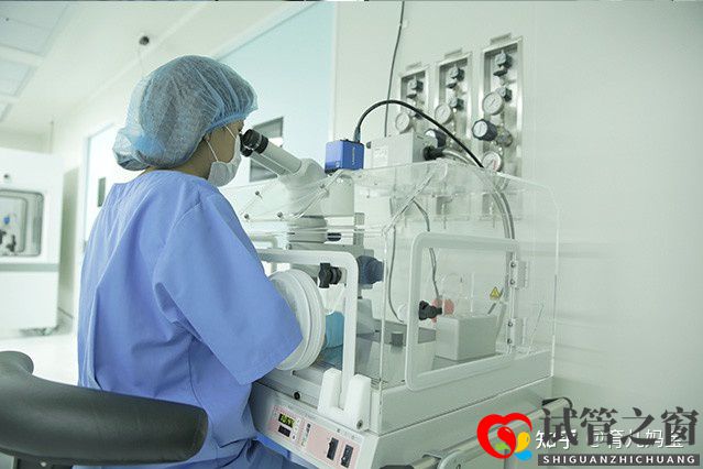 做试管的过程以及经过时间注意(图1) 做试管的过程以及经过时间注意(图1)