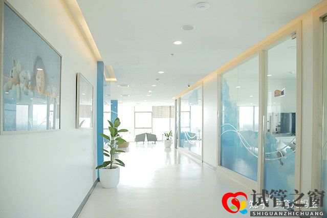 做试管的过程以及经过时间注意(图3) 做试管的过程以及经过时间注意(图3)