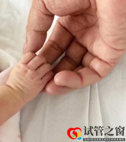 他是知名大导演,妻子为其3次试管取70颗卵子,今年近百岁成人生赢家(图7) 他是知名大导演,妻子为其3次试管取70颗卵子,今年近百岁成人生赢家(图7)