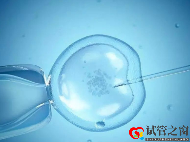 泰国十大正规试管医院排名分享,寻找适合自己的医院(图1) 泰国试管婴儿成功率高